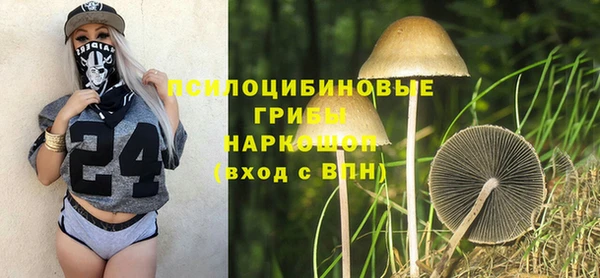 a pvp Козельск
