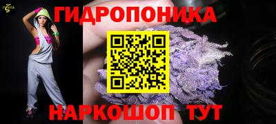 сатива Гагарин