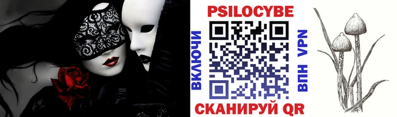 Псилоцибиновые грибы мицелий  кракен маркетплейс  Кандалакша 