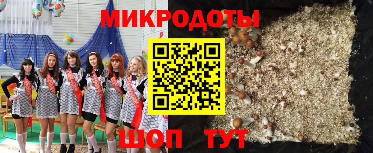 Галлюциногенные грибы Psilocybe  купить наркотики сайты  Кандалакша  Вход с VPN 
